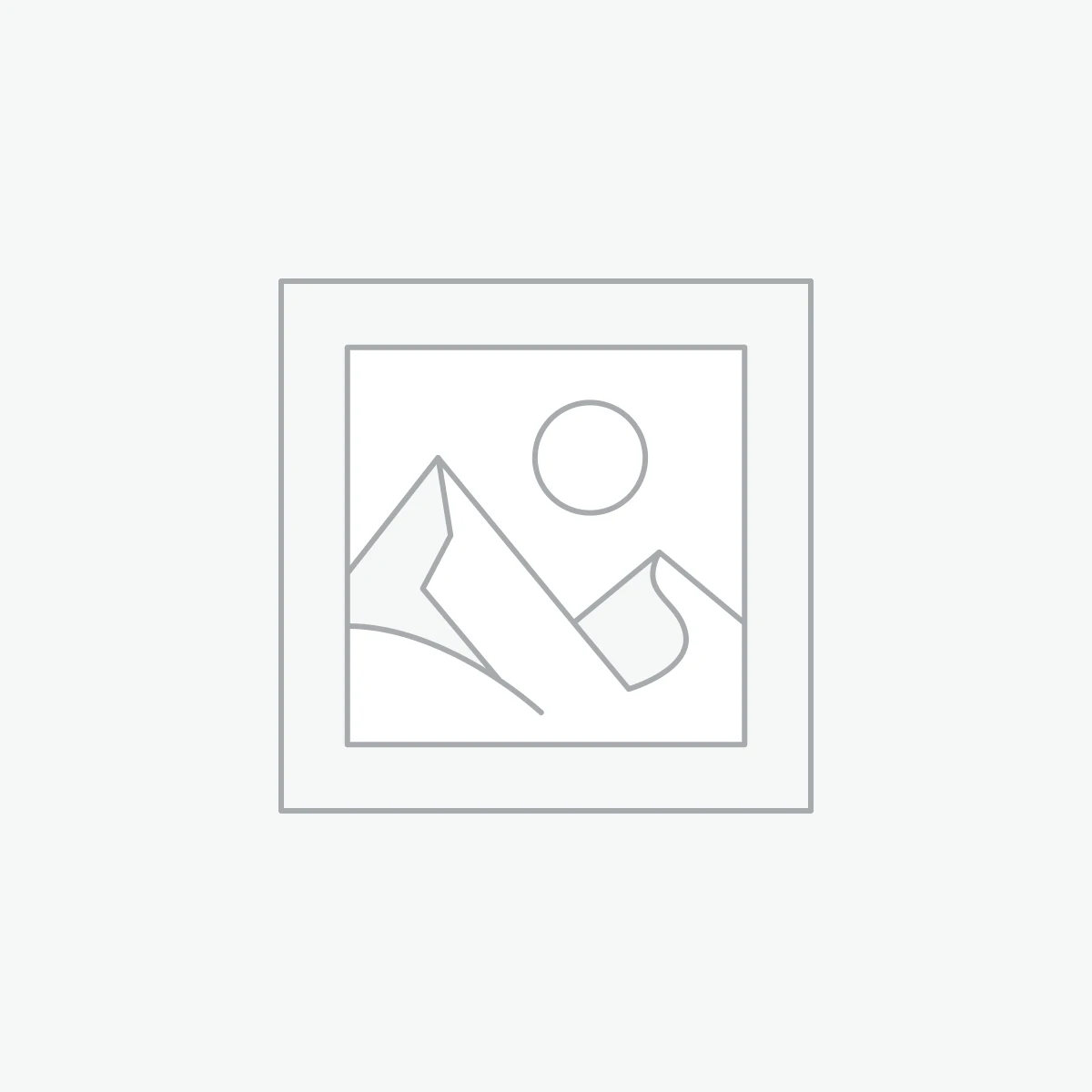 VERSLO ĮRANKIAI Paskirtoji vieta